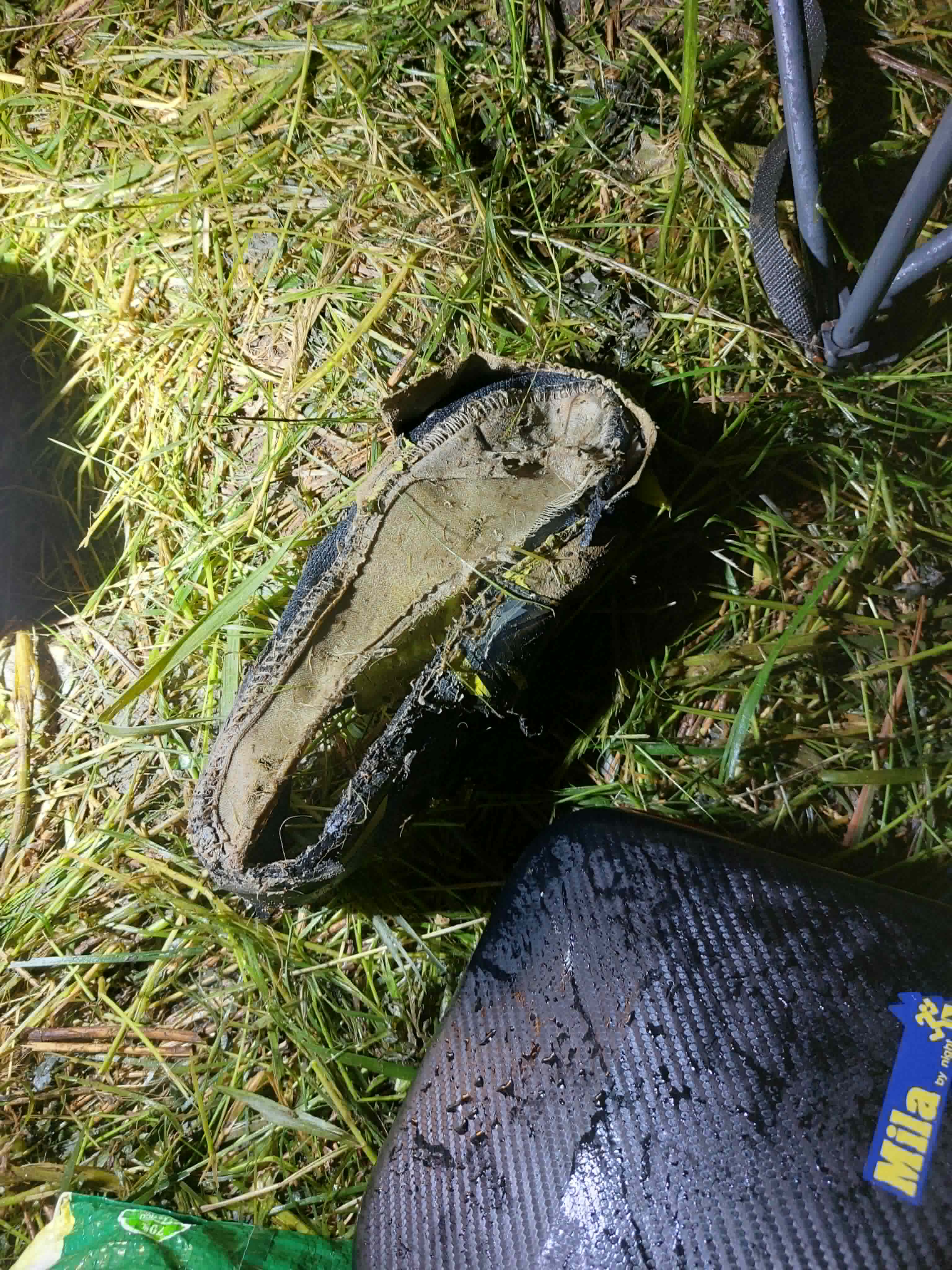 YoavsShoe